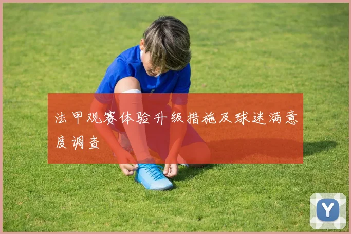 法甲观赛体验升级措施及球迷满意度调查